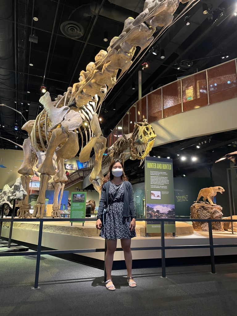 Me at the museum with some dino skeletons!